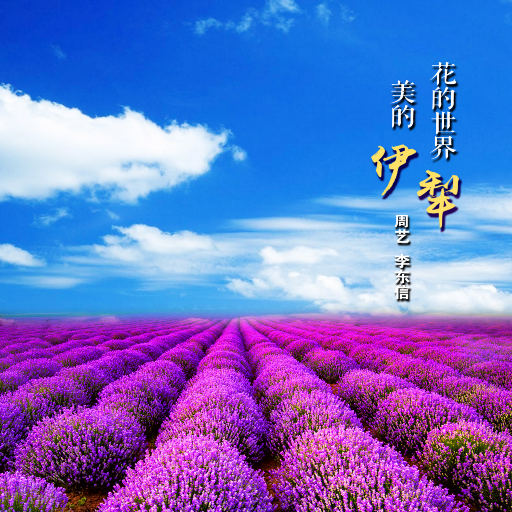 久久久无码精品亚洲日韩AV电影
